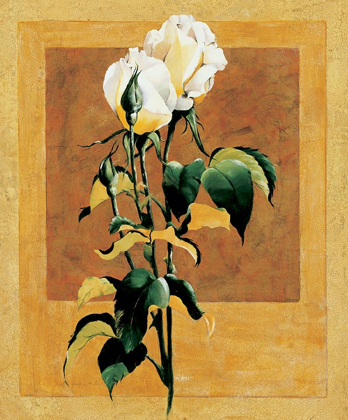 Picture of WHITE ROSE III