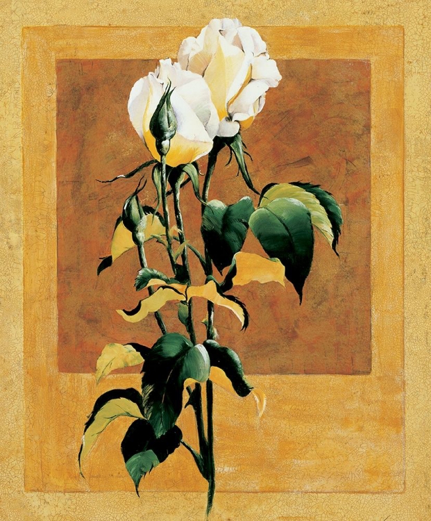 Picture of WHITE ROSE III