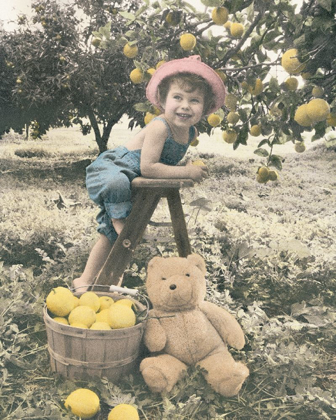 Picture of GIRL PICKING APPLES
