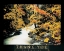 Picture of RECYCLE - FOREST