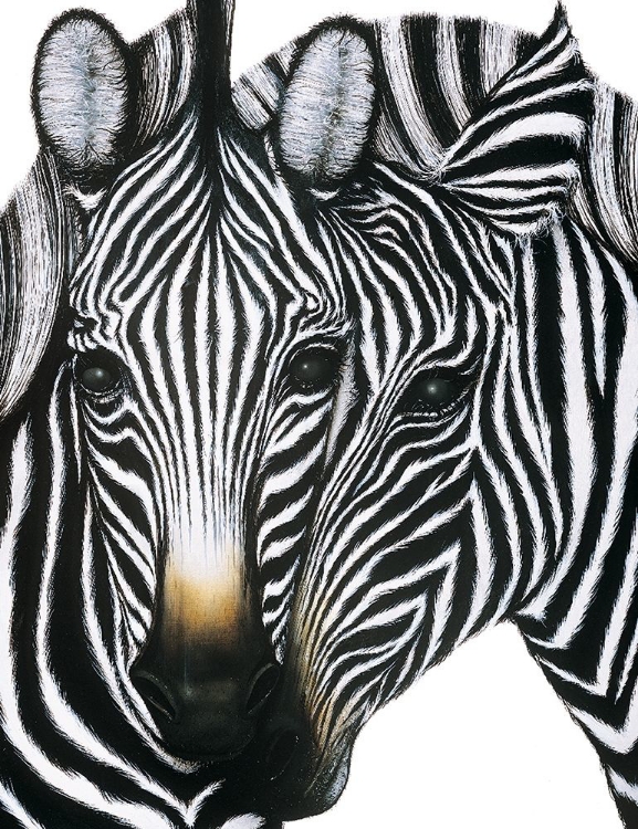 Picture of ZEBRA I