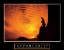 Picture of DUSK - OPPORTUNITY