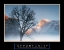 Picture of TREE - OPPORTUNITY