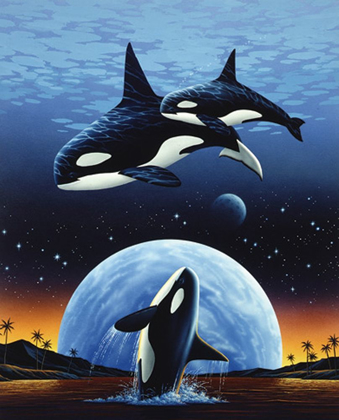 Picture of ORCAS AND MOON