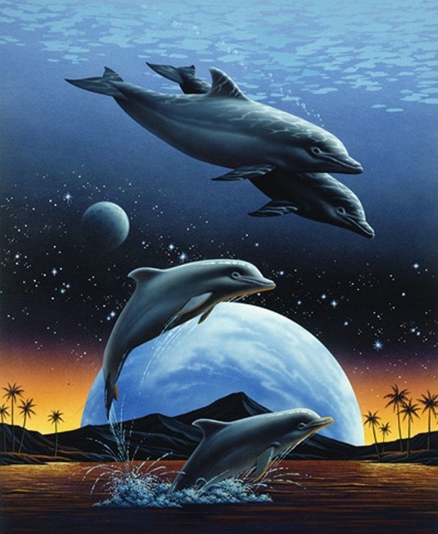 Picture of PORPOISE AND MOON II