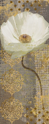 Picture of WHITE POPPY SHIMMER II