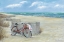 Picture of BIKE TO THE BEACH