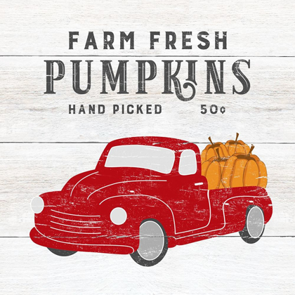 Picture of FARM FRESH PUMPKINS