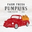 Picture of FARM FRESH PUMPKINS