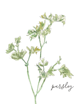 Picture of FRESH SPRIG PARSLEY