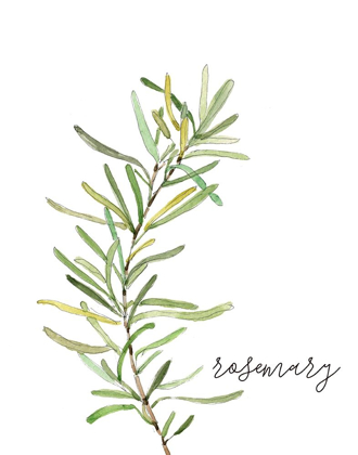 Picture of FRESH SPRIG ROSEMARY