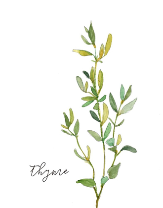 Picture of FRESH SPRIG THYME