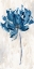 Picture of BLUEJEAN FLOWER II