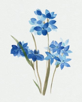 Picture of BLUE BLOSSOM BOTANICAL I