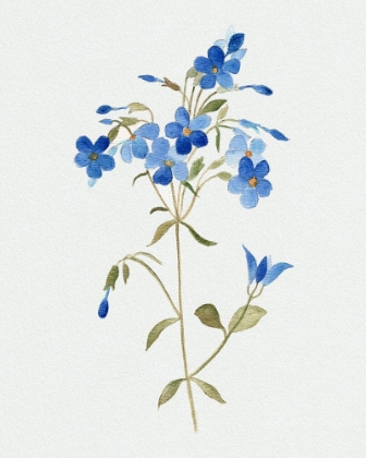 Picture of BLUE BLOSSOM BOTANICAL II