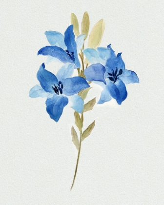 Picture of BLUE BLOSSOM BOTANICAL III