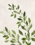 Picture of BOTANICAL WASH I