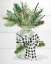 Picture of EVERGREEN