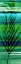 Picture of SEYCHELLES PALM II