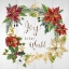 Picture of POINSETTIA JOY