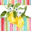 Picture of SUMMER LEMONS I