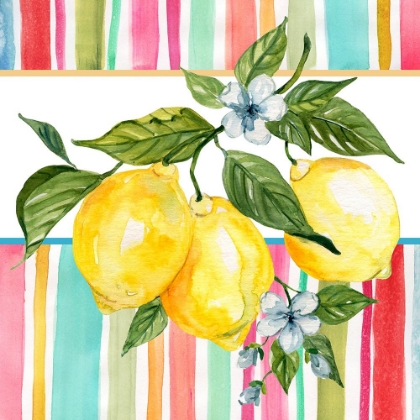 Picture of SUMMER LEMONS II