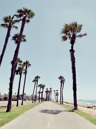 Picture of PATH TO HUNTINGTON BEACH
