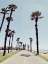 Picture of PATH TO HUNTINGTON BEACH