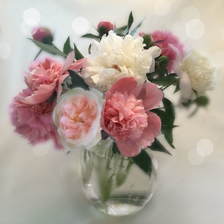 Picture of PEONY MAGIC I