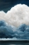 Picture of NATURES DRAMA II