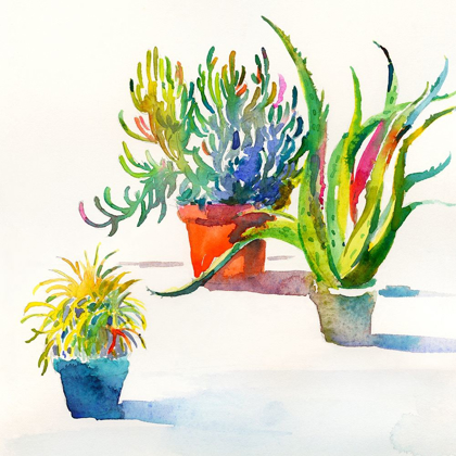 Picture of SUCCULENT TRIO II