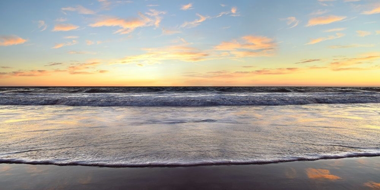 Picture of EVENING AT VENICE BEACH