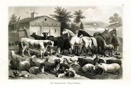 Picture of 1800S FARM ANIMAL CHART