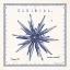 Picture of SEA URCHIN II