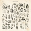 Picture of SHELL CHART II