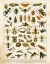 Picture of BUG CHART II