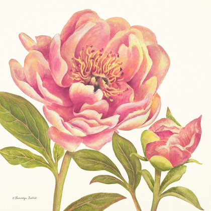 Picture of PINK PEONIES I