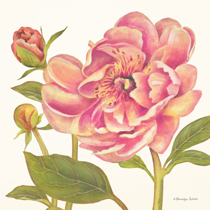 Picture of PINK PEONIES II