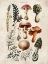 Picture of MUSHROOM CHART I