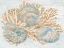 Picture of SHIMMERING SHELLS II