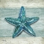 Picture of NORTHPOINT SHELLS VII