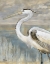 Picture of GOLDEN RIVER HERON