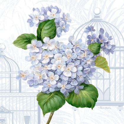 Picture of HYDRANGEA CAGES I
