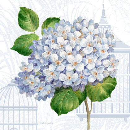 Picture of HYDRANGEA CAGES II