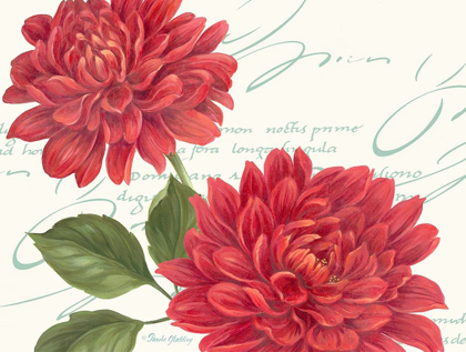 Picture of RED DAHLIAS