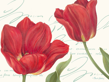 Picture of RED TULIPS