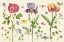 Picture of LANG OF FLOWERS III