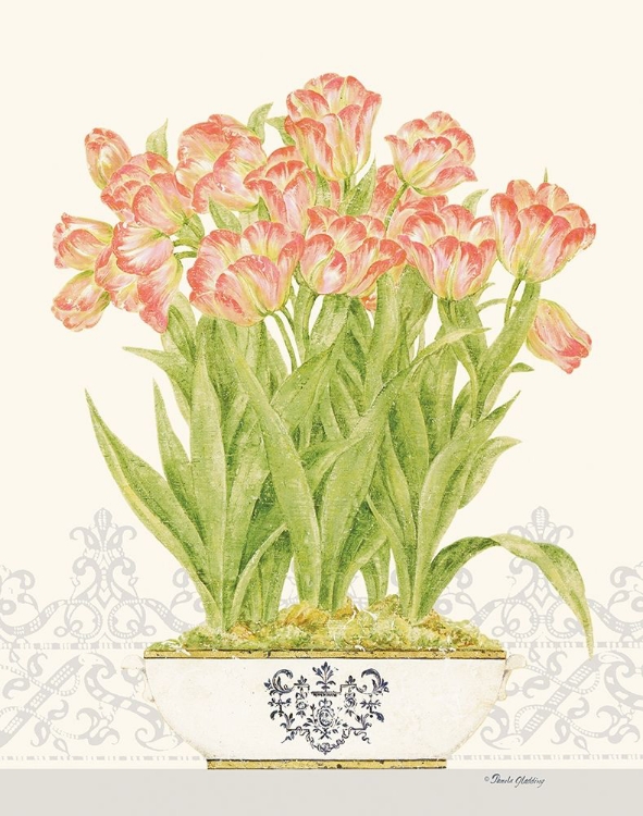 Picture of IMPERIAL TULIPS
