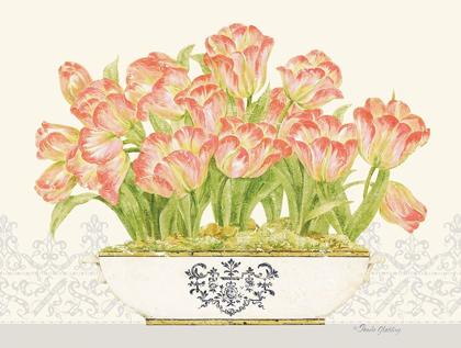 Picture of IMPERIAL TULIPS HORIZONTAL