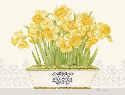 Picture of IMPERIAL DAFFODILS HORIZONTAL